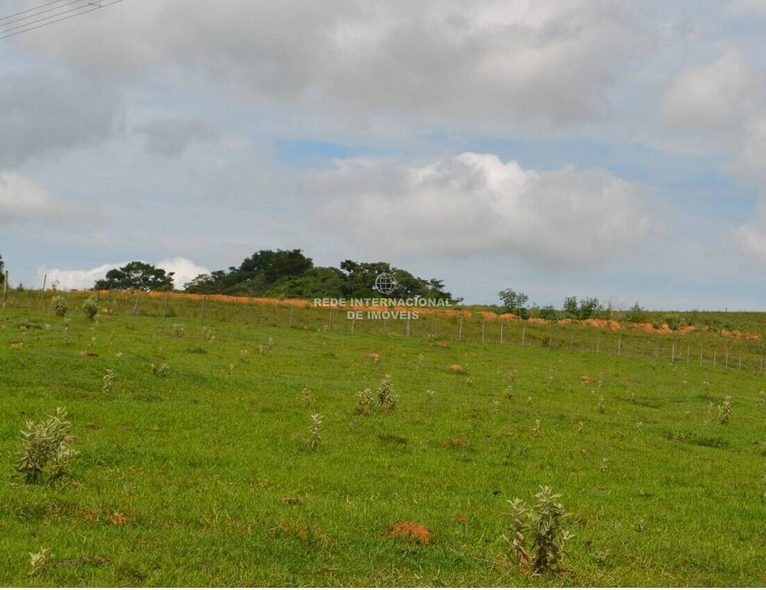 Farm Ranch in Sarapuí, State of São Paulo, Brazil 4 - 16174806