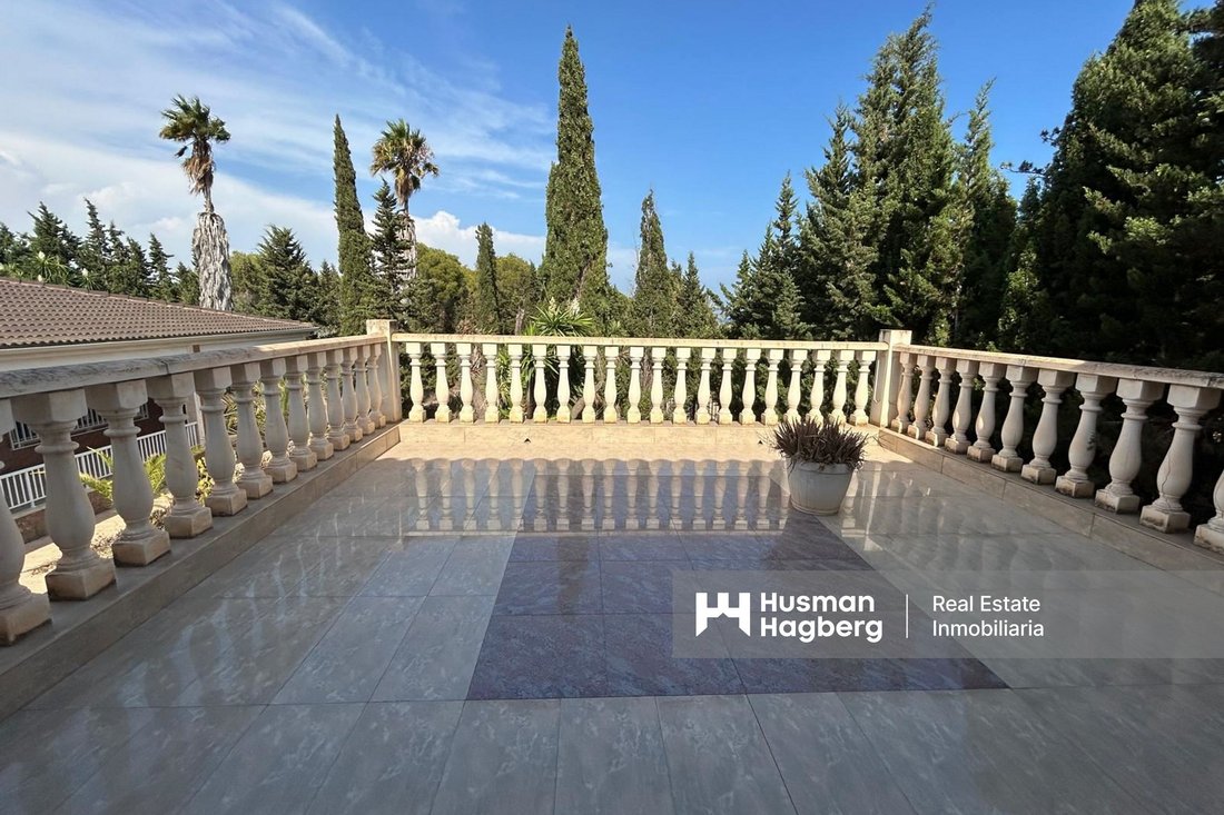 Villa in Elx / Elche, Valencian Community, Spain 5 - 14667337