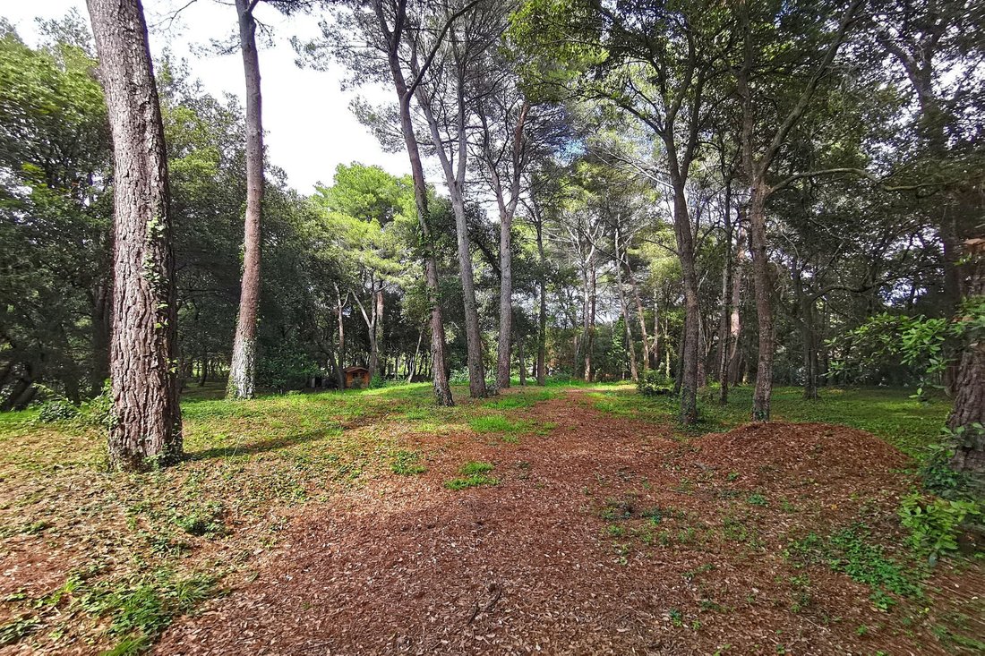 Villa in Mougins, Provence-Alpes-Côte d'Azur, France 4 - 16171306