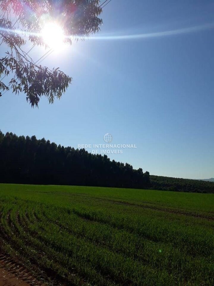 Farm Ranch in Itaberá, State of São Paulo, Brazil 1 - 16174858