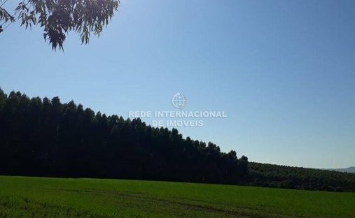 Farm Ranch in Itaberá, State of São Paulo, Brazil 1