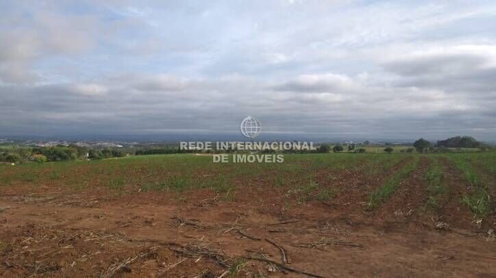 Land in Cajuru do Sul, State of São Paulo, Brazil 1 - 16174704