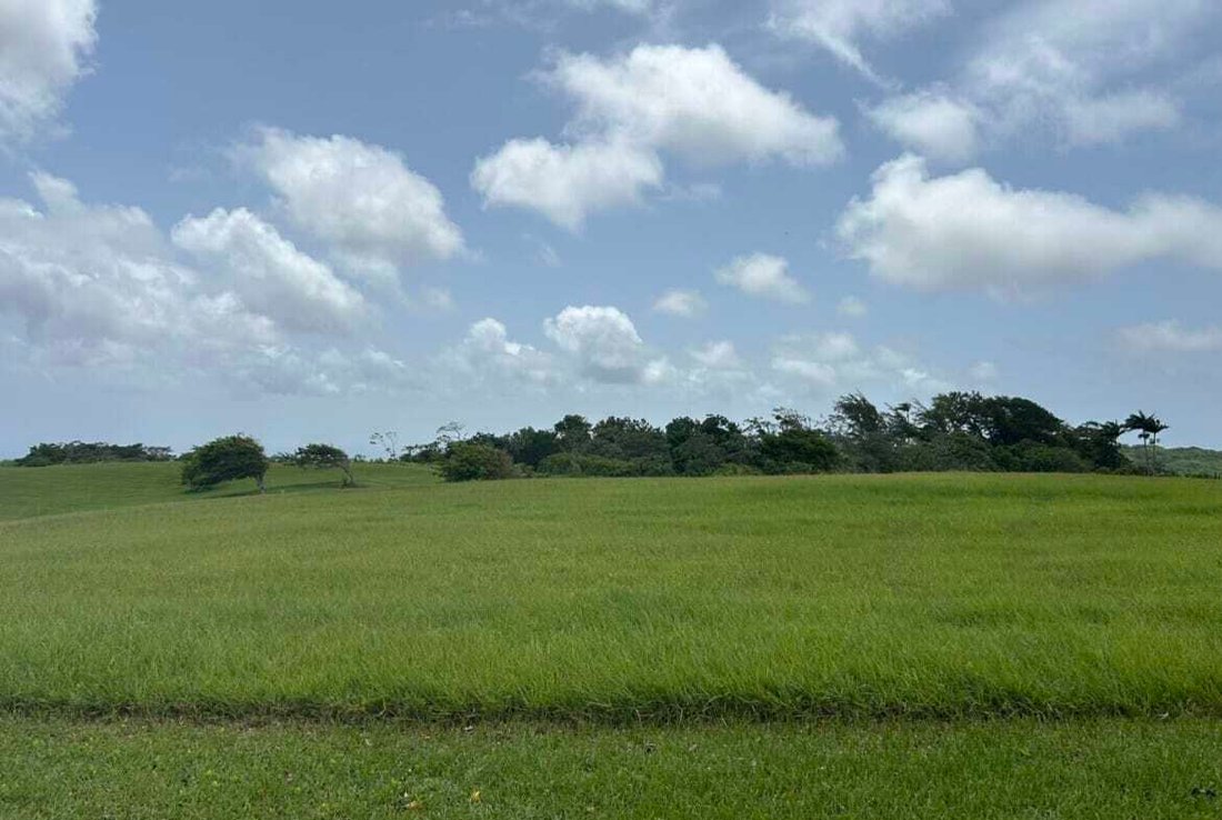 Estate in Bridgetown, Christ Church, Barbados 4 - 16172993