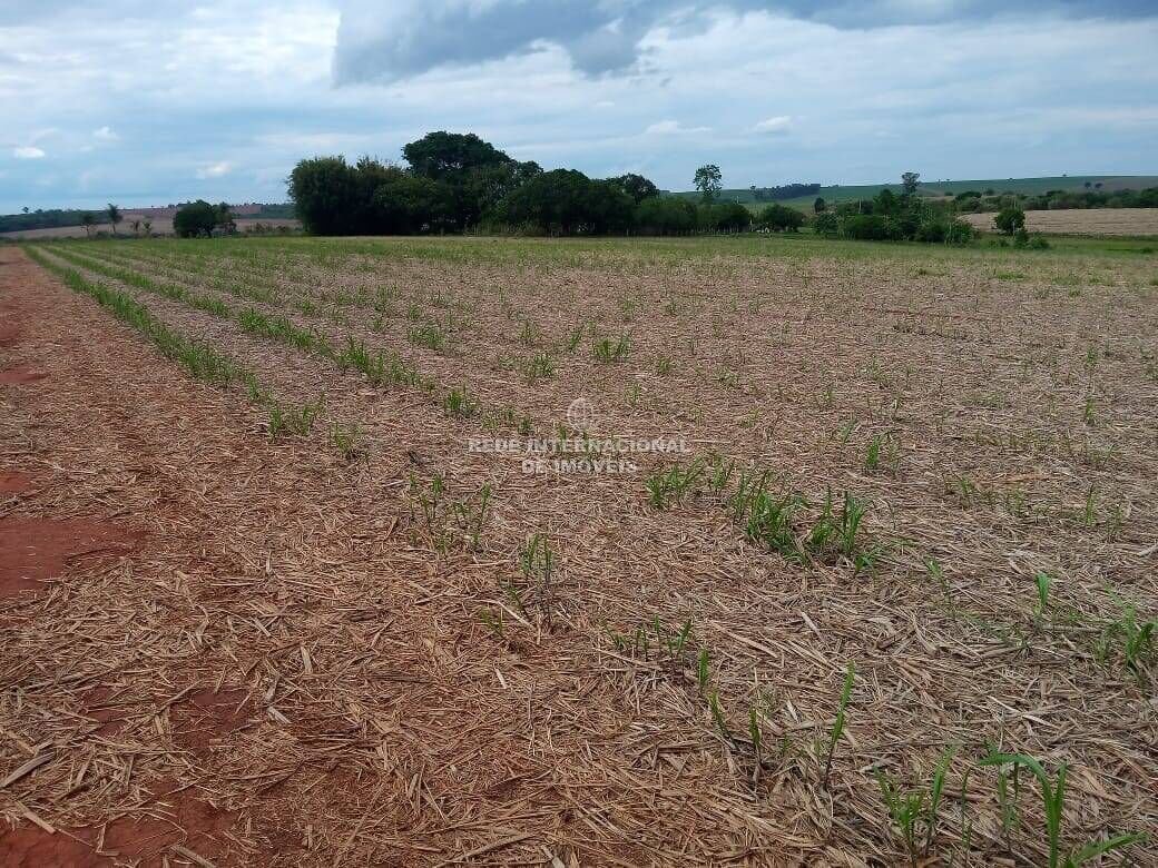 Farm Ranch in Bairro Rural, Brazil 2 - 16175631