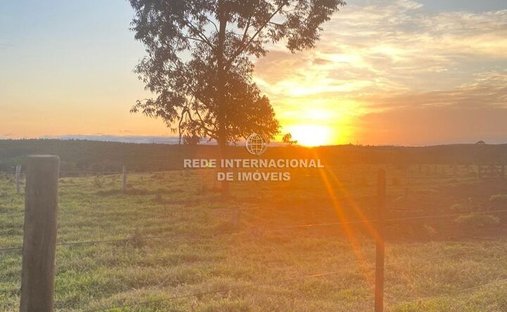 Farm Ranch in Sarapuí, State of São Paulo, Brazil 1
