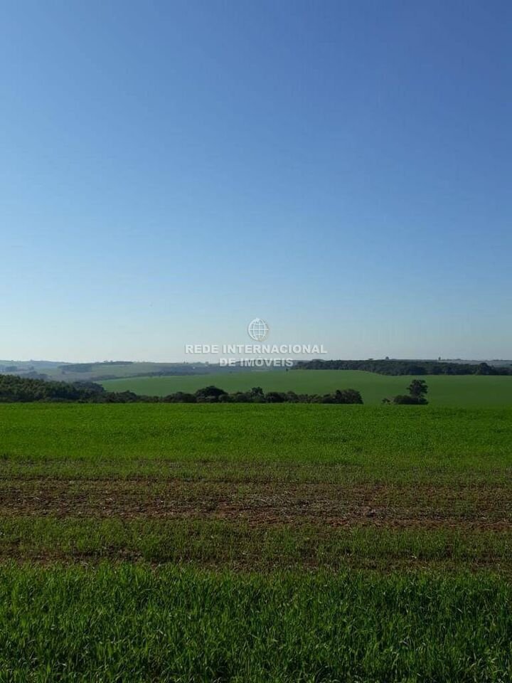 Farm Ranch in Itaberá, State of São Paulo, Brazil 5 - 16174858