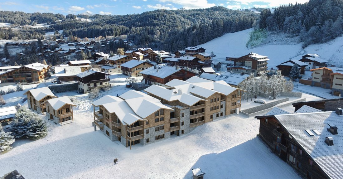 Apartment in Les Gets, Auvergne-Rhône-Alpes, France 4 - 16178767