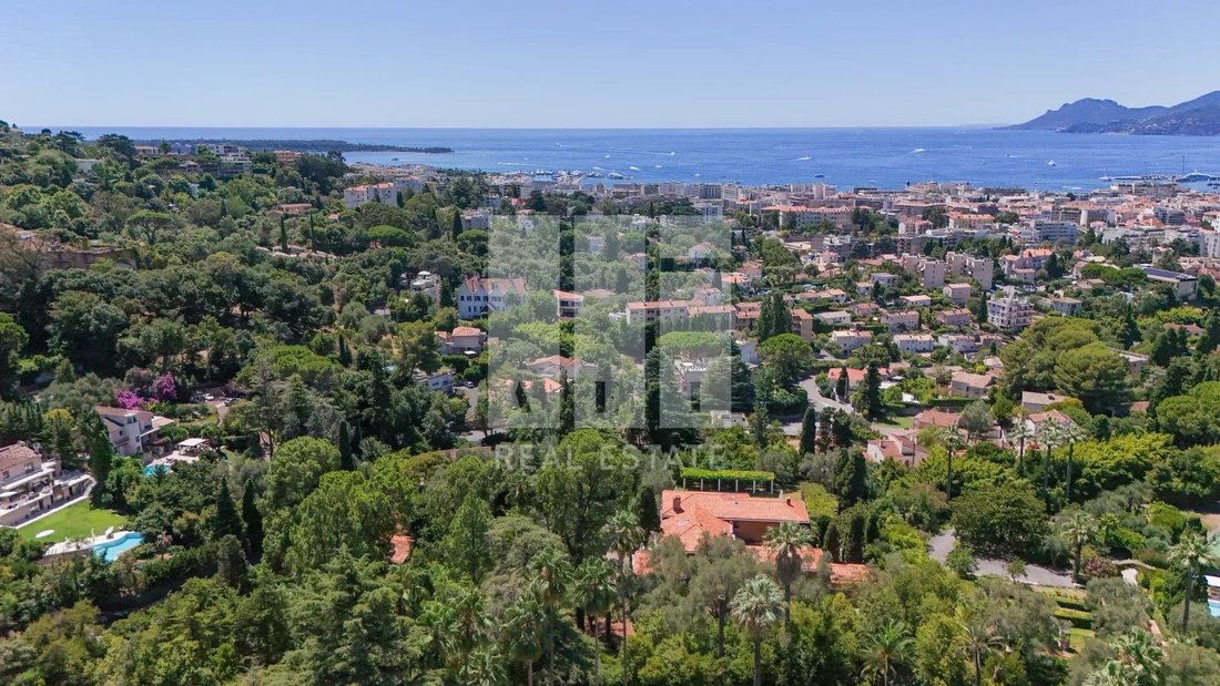 Apartment in Cannes, Provence-Alpes-Côte d'Azur, France 3 - 16183183
