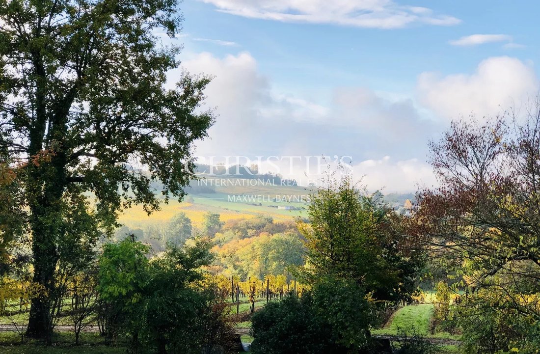 Farm Ranch in Villenave-de-Rions, Nouvelle-Aquitaine, France 5 - 16183045