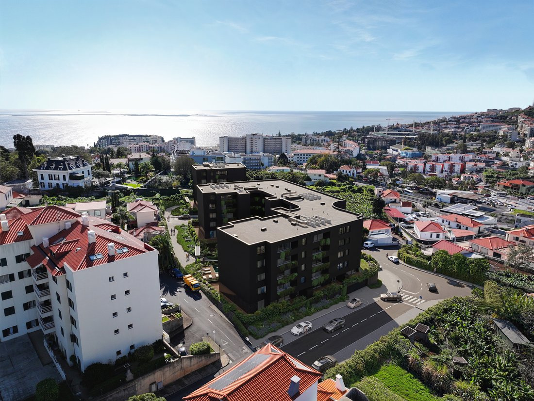 Apartment in Sao Pedro, Madeira, Portugal 1 - 16173913