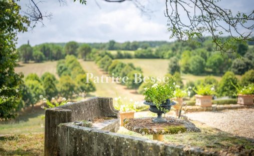 House in Bonas, Occitania, France 1