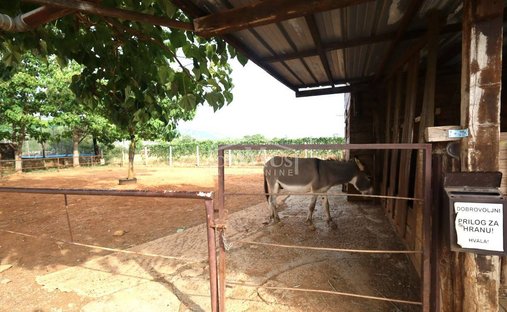 Haus in Dubrava kod Šibenika, Gespanschaft Šibenik-Knin, Kroatien 1