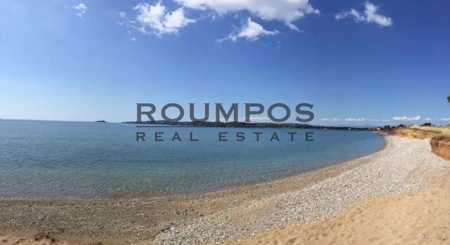 Land in Ermioni, Peloponnese, Western Greece and the Ionian, Greece 4 - 16185847