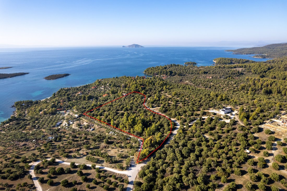 Land in Sithonia, Macedonia and Thrace, Greece 2 - 15399245
