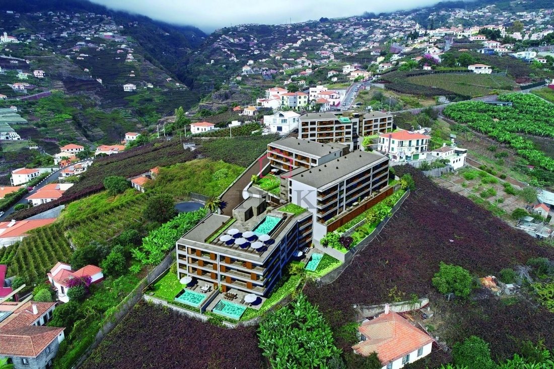 Apartment in Camara De Lobos, Madeira, Portugal 3 - 16184087