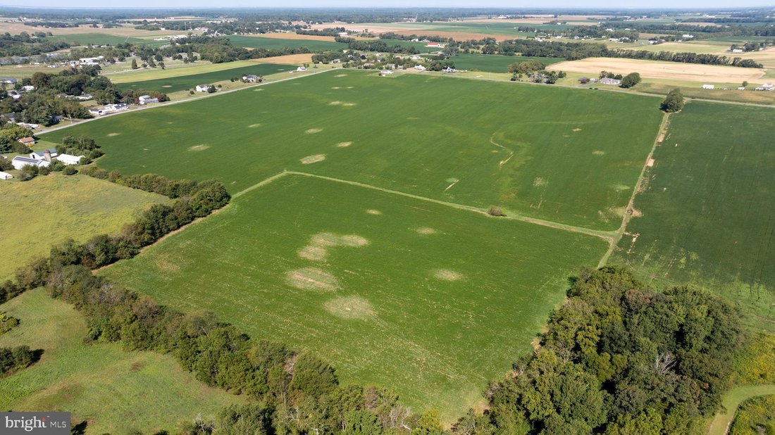 Land in Bridgeton, New Jersey, United States 5 - 16183685
