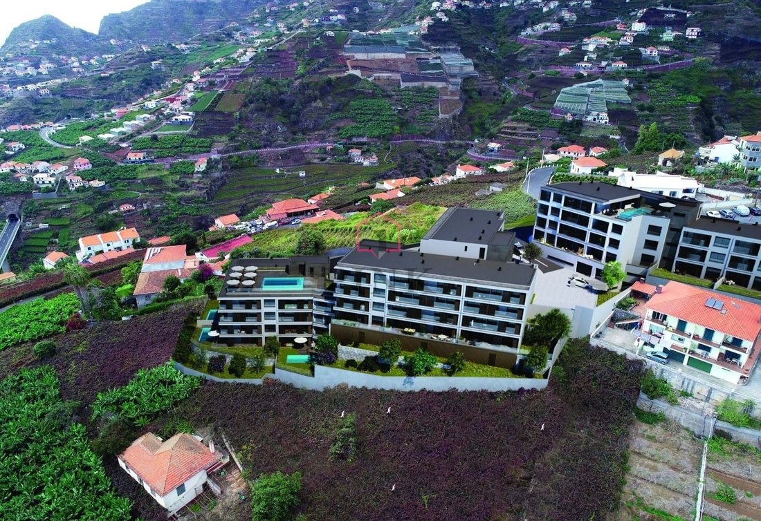 Apartment in Camara De Lobos, Madeira, Portugal 2 - 16184087