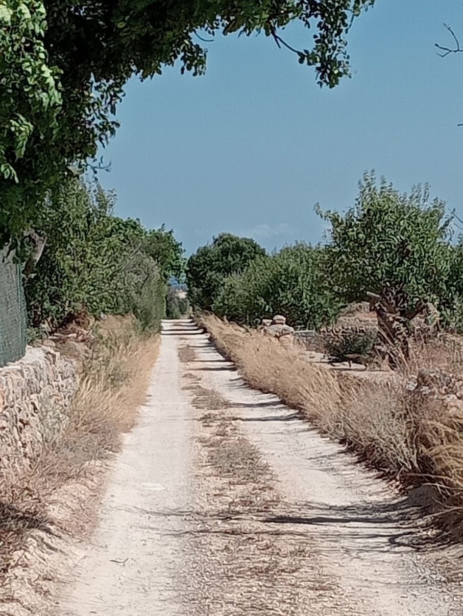 Santanyi, Balearic Islands, Spain 2 - 16186079