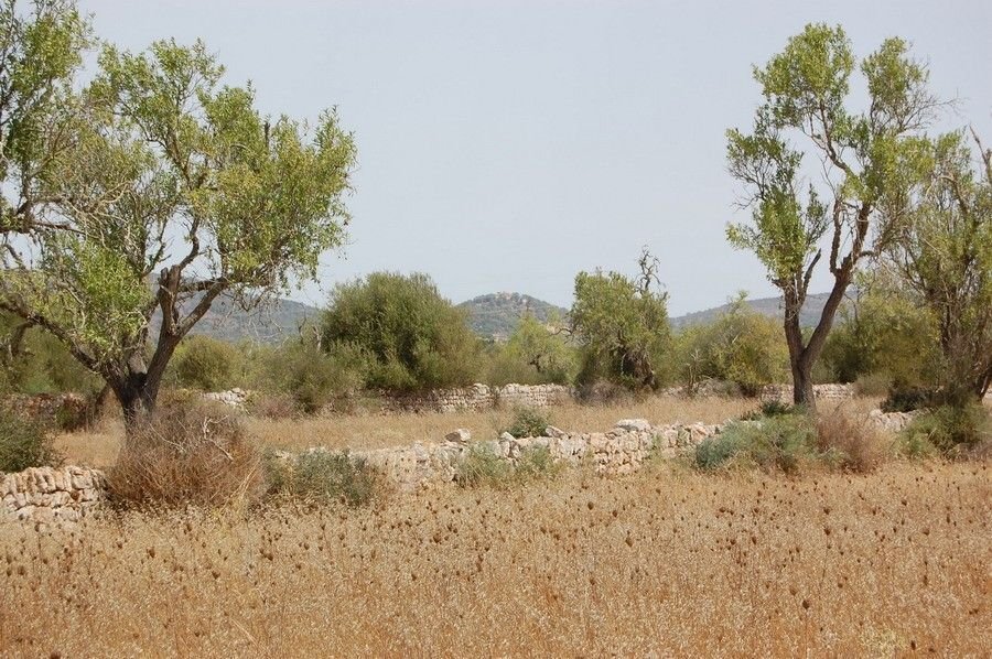 Santanyi, Balearic Islands, Spain 4 - 16186065