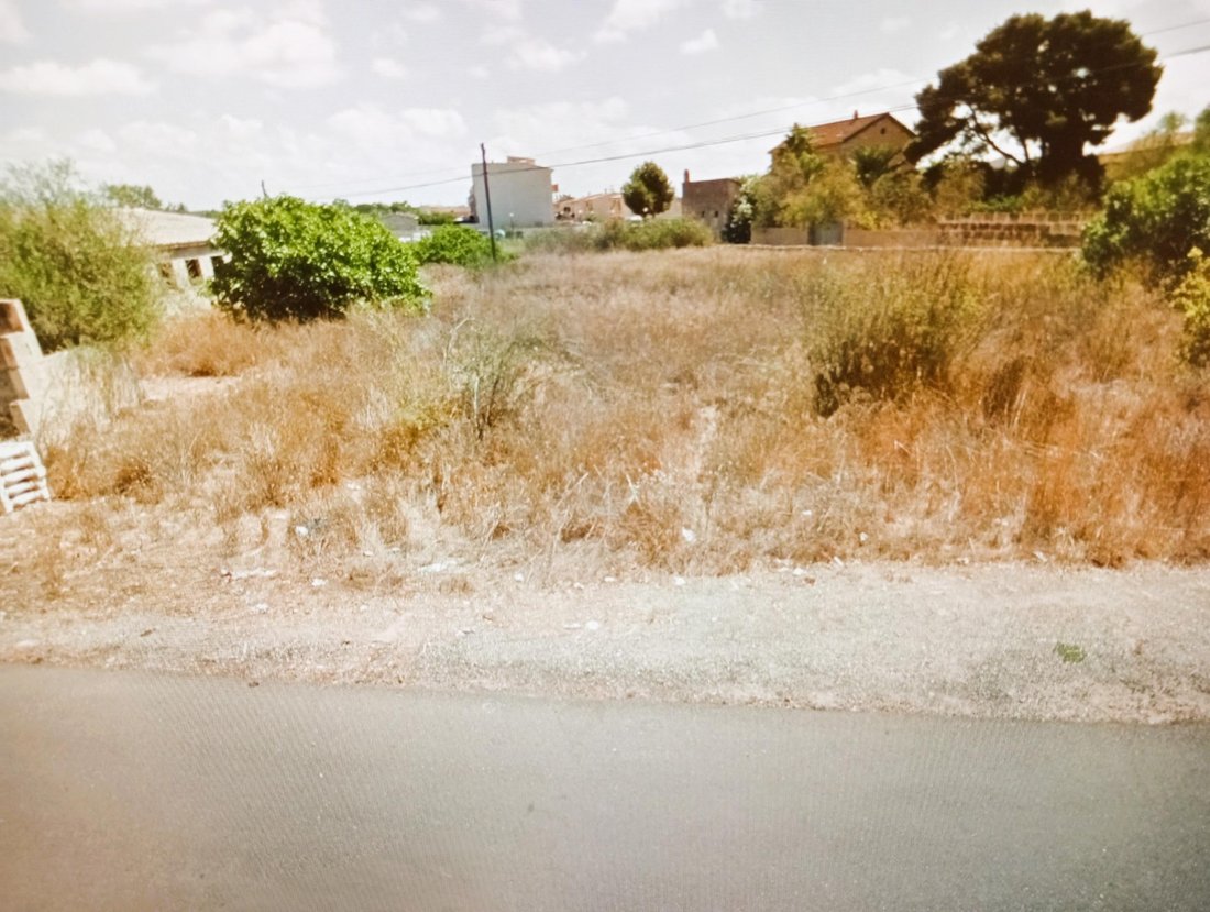 Land in ses Salines, Balearic Islands, Spain 1 - 16186081