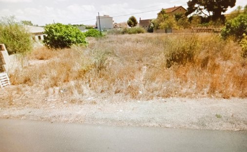 Land in ses Salines, Balearic Islands, Spain 1