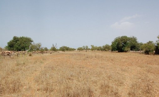 Santanyi, Balearic Islands, Spain 1