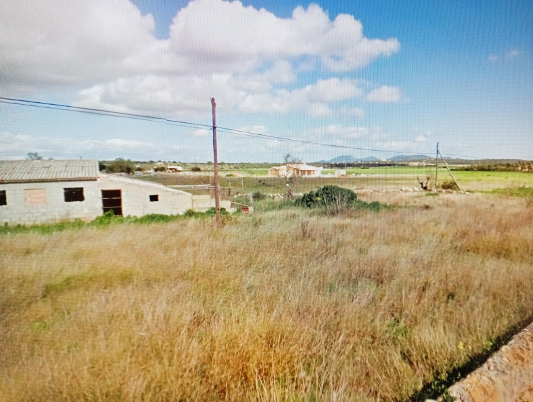 Land in ses Salines, Balearic Islands, Spain 2 - 16186081