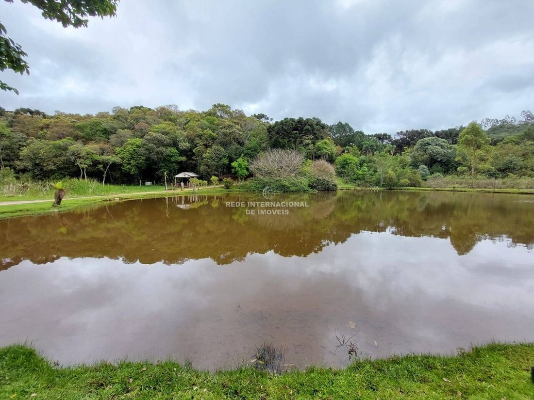 Farm Ranch in General Maynard, State of Sergipe, Brazil 4 - 16186646