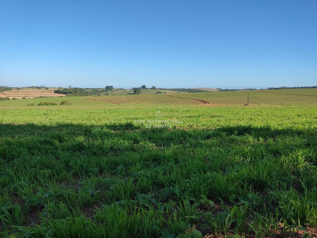 Farm Ranch in General Maynard, State of Sergipe, Brazil 1 - 16186696