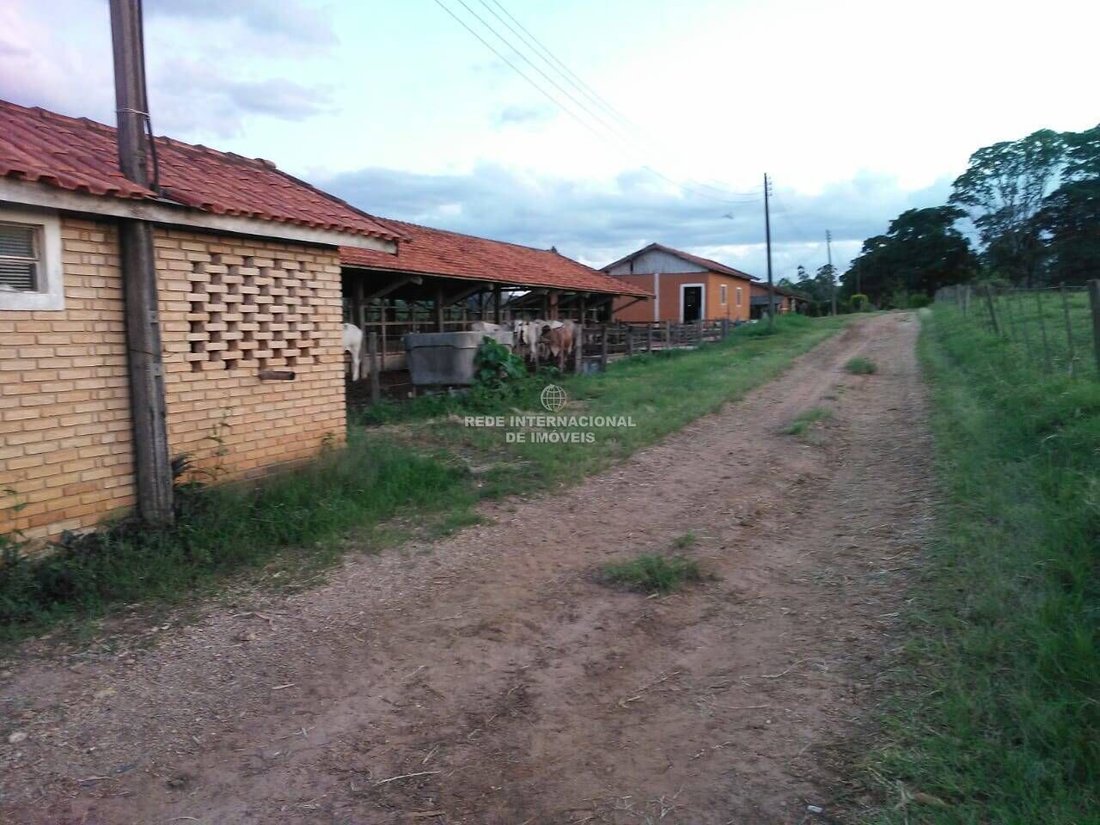 Farm Ranch in Guareí, State of São Paulo, Brazil 4 - 16186794