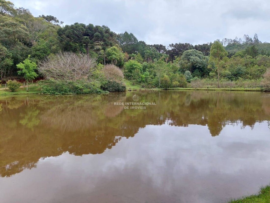 Farm Ranch in General Maynard, State of Sergipe, Brazil 2 - 16186646