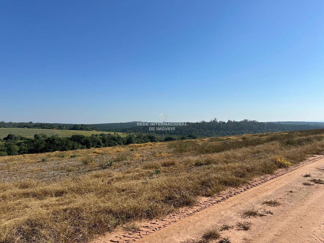 Farm Ranch in Ronco, State of Paraná, Brazil 1 - 16186674