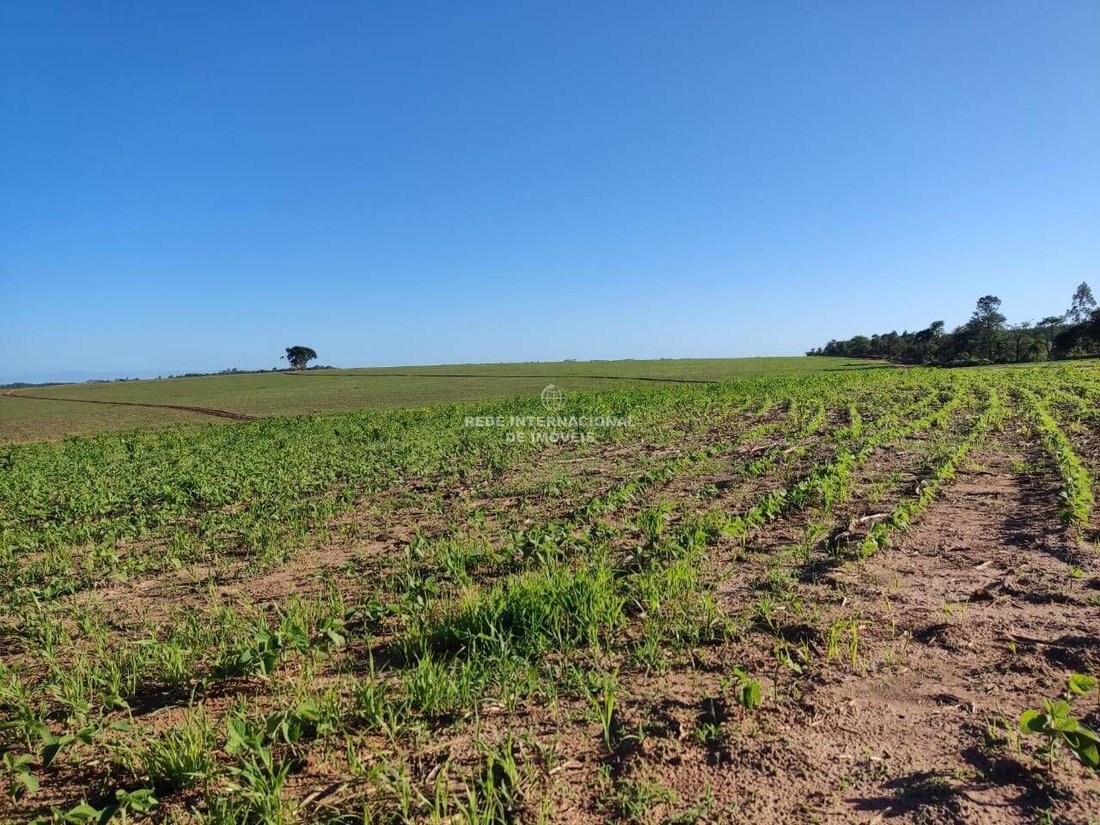 Farm Ranch in General Maynard, State of Sergipe, Brazil 4 - 16186696