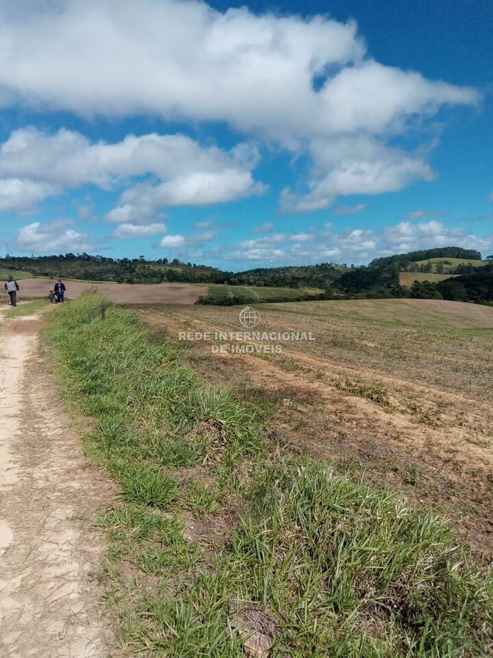 Farm Ranch in General Maynard, State of Sergipe, Brazil 2 - 16186637