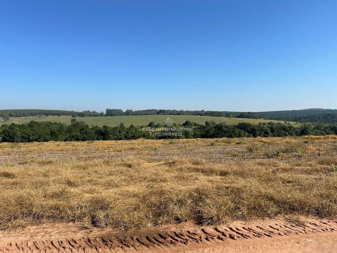 Farm Ranch in Ronco, State of Paraná, Brazil 2 - 16186674