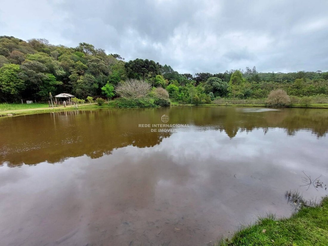 Farm Ranch in General Maynard, State of Sergipe, Brazil 5 - 16186646