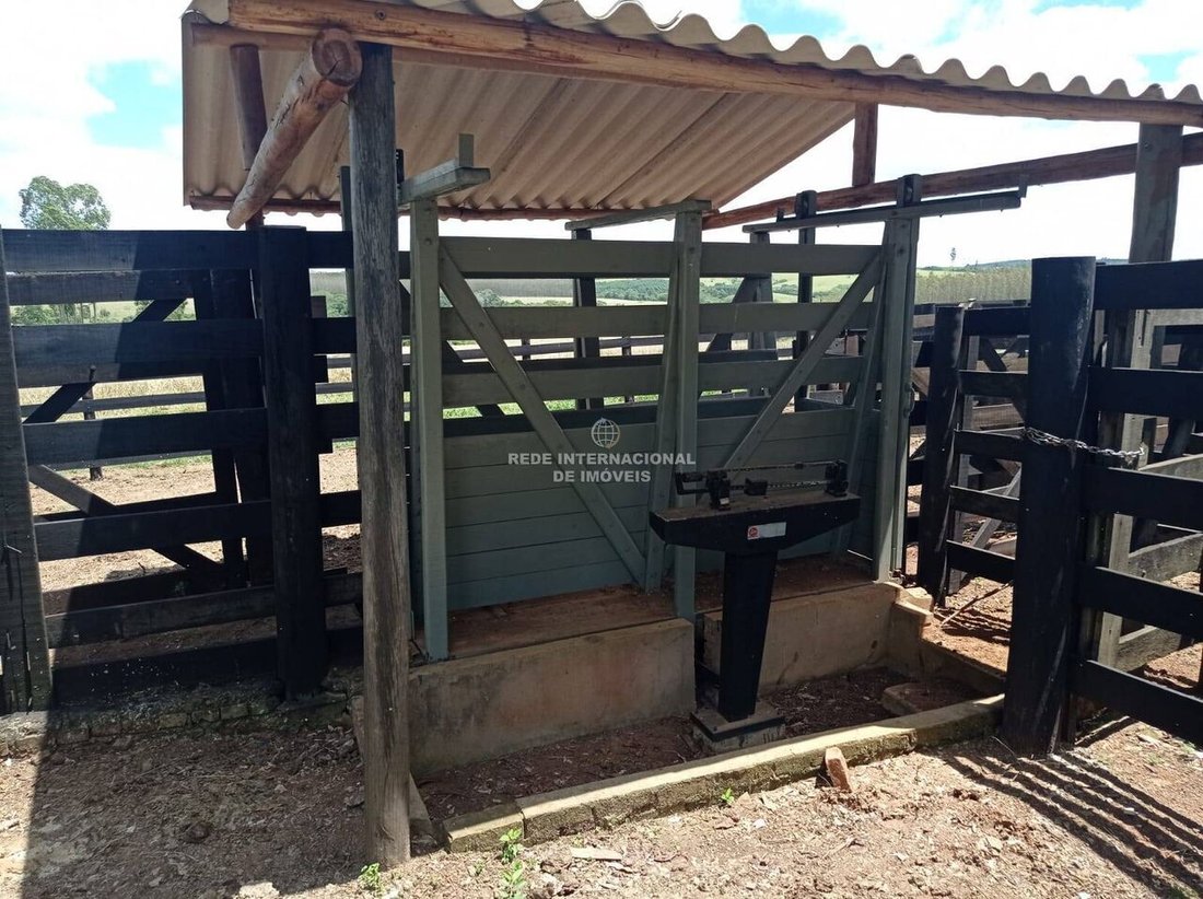 Farm Ranch in General Maynard, State of Sergipe, Brazil 2 - 16186814