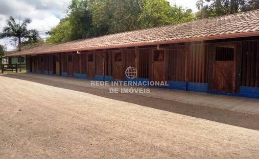 Farm Ranch in General Maynard, State of Sergipe, Brazil 1