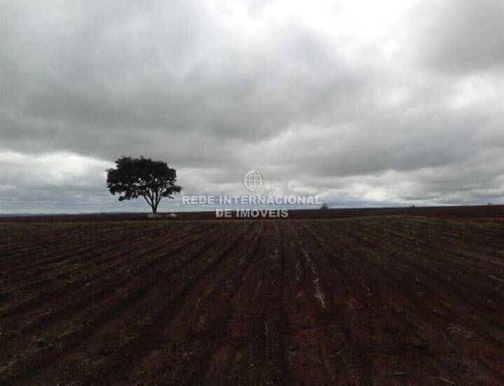 Farm Ranch in Itapetininga, State of São Paulo, Brazil 4 - 16186735