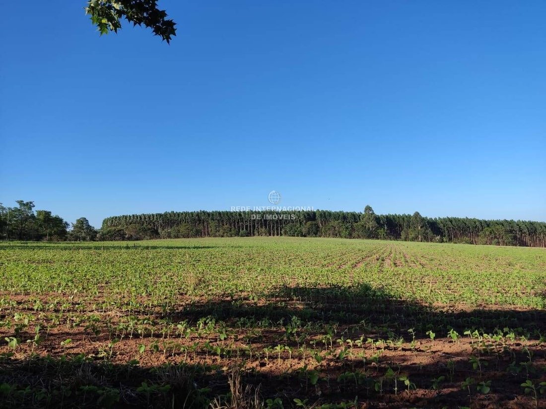 Farm Ranch in General Maynard, State of Sergipe, Brazil 3 - 16186696