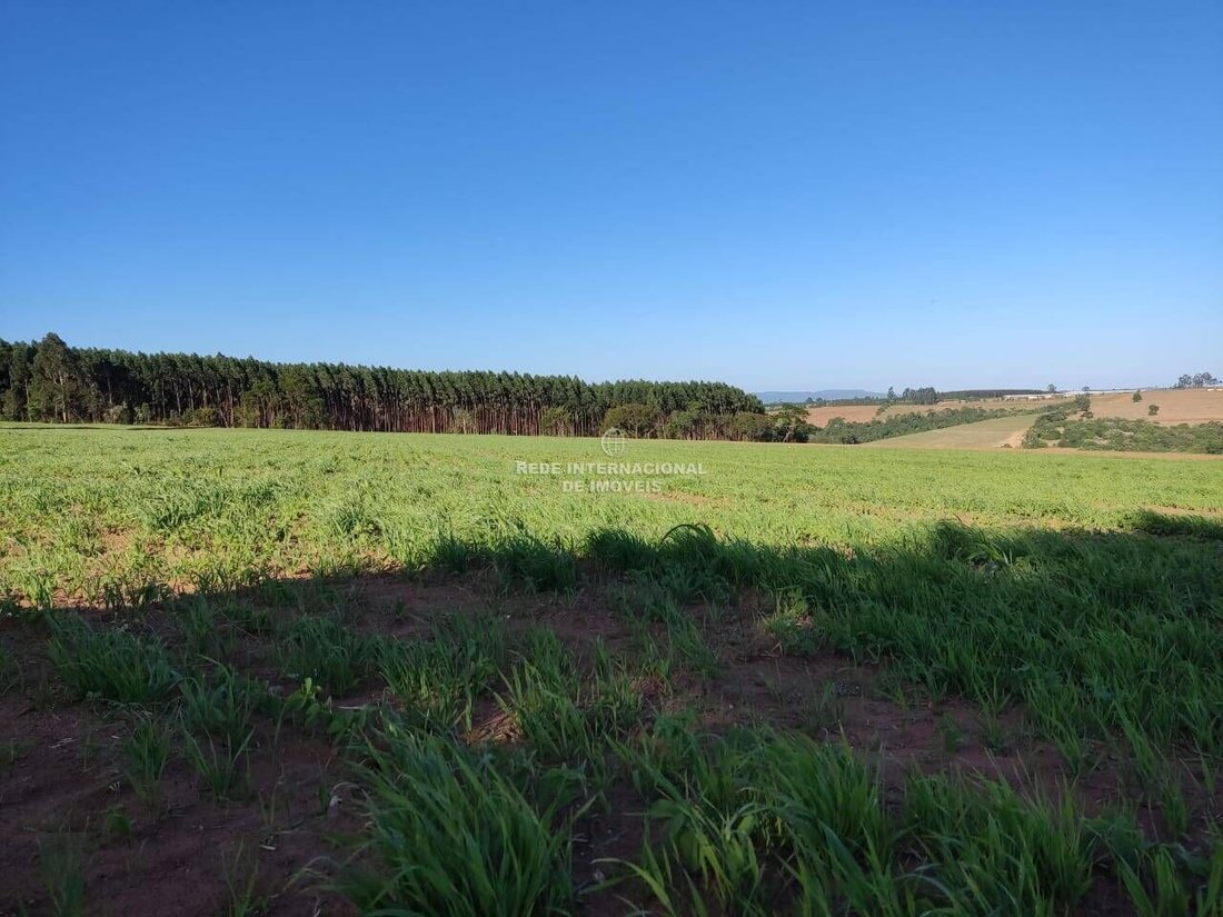 Farm Ranch in General Maynard, State of Sergipe, Brazil 2 - 16186696