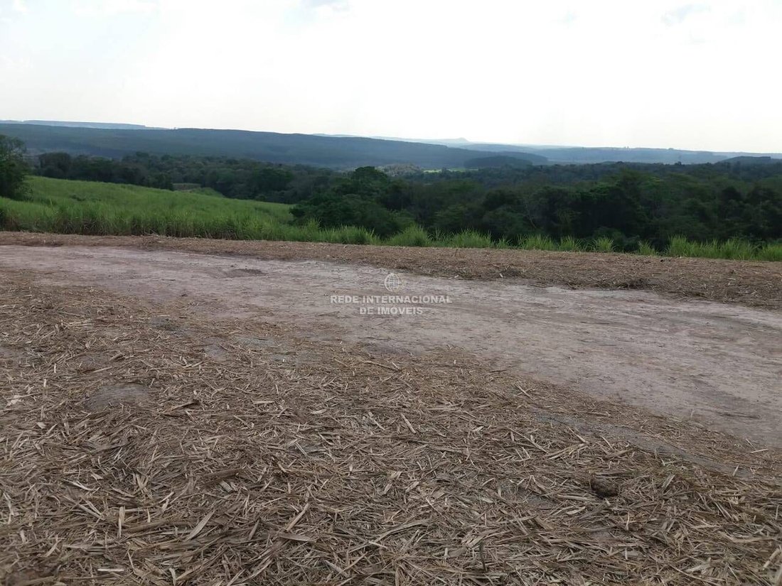 Farm Ranch in Guareí, State of São Paulo, Brazil 5 - 16186794