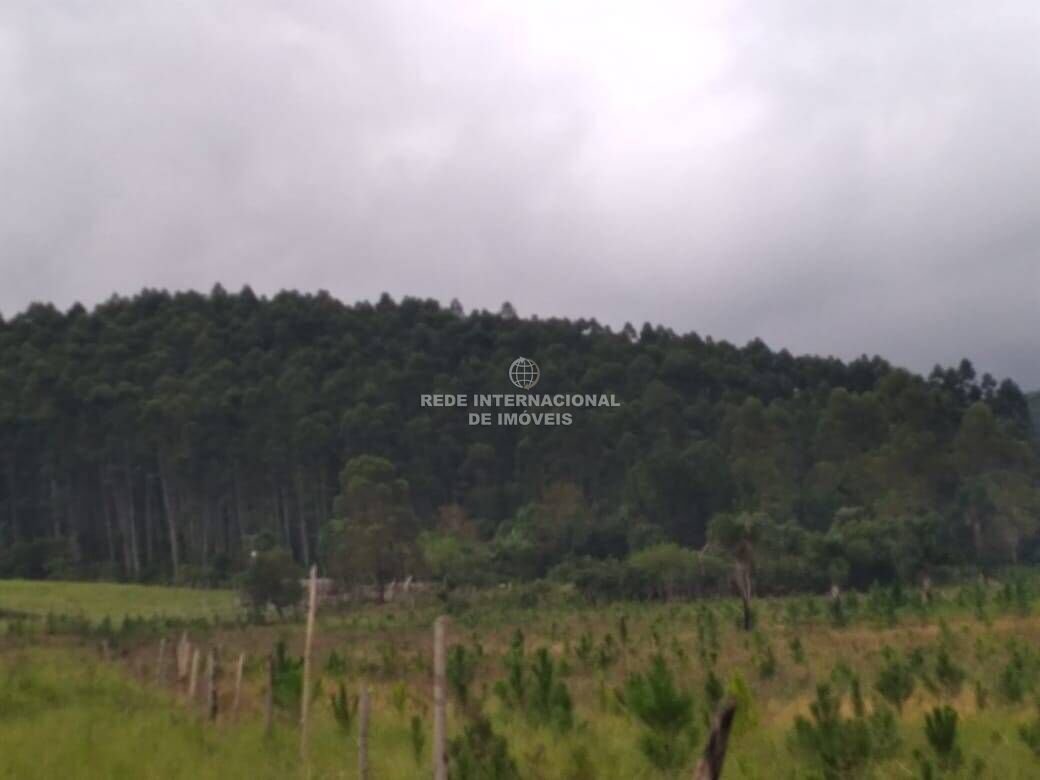 Farm Ranch in General Maynard, State of Sergipe, Brazil 3 - 16186944