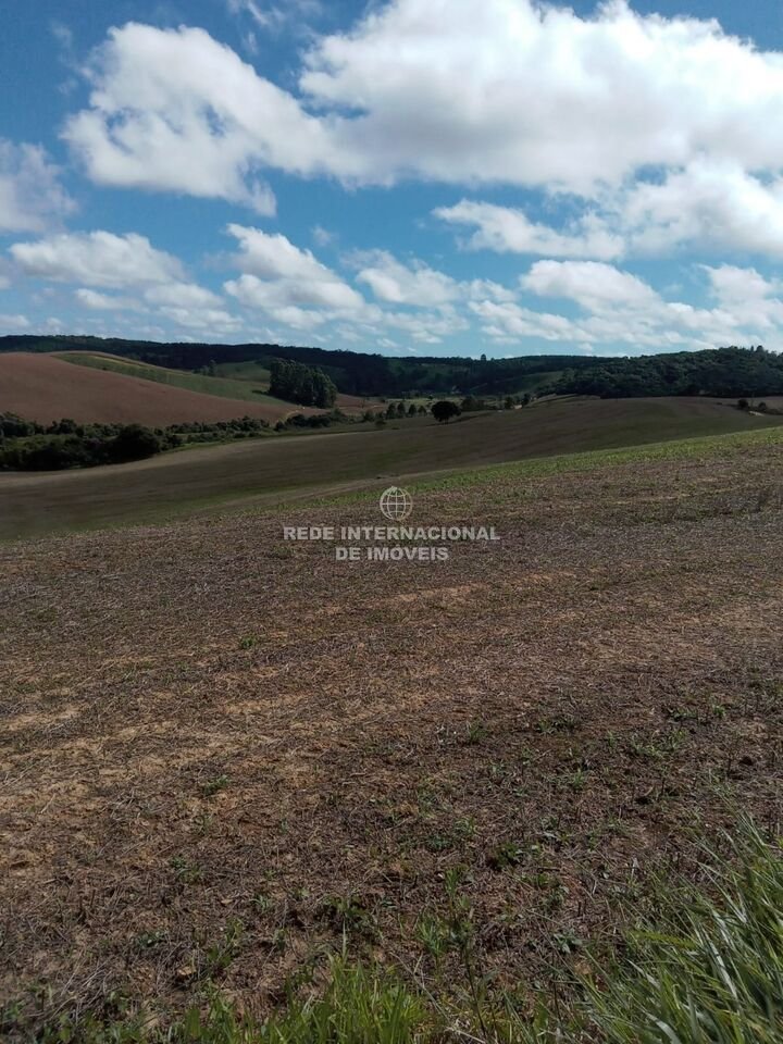 Farm Ranch in General Maynard, State of Sergipe, Brazil 5 - 16186637