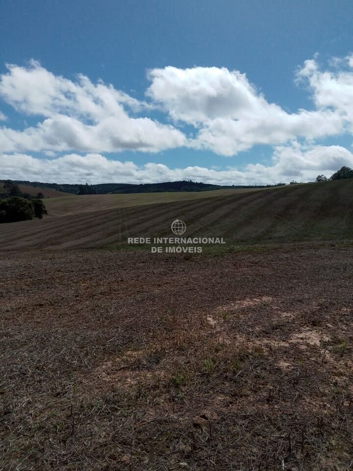 Farm Ranch in General Maynard, State of Sergipe, Brazil 4 - 16186637