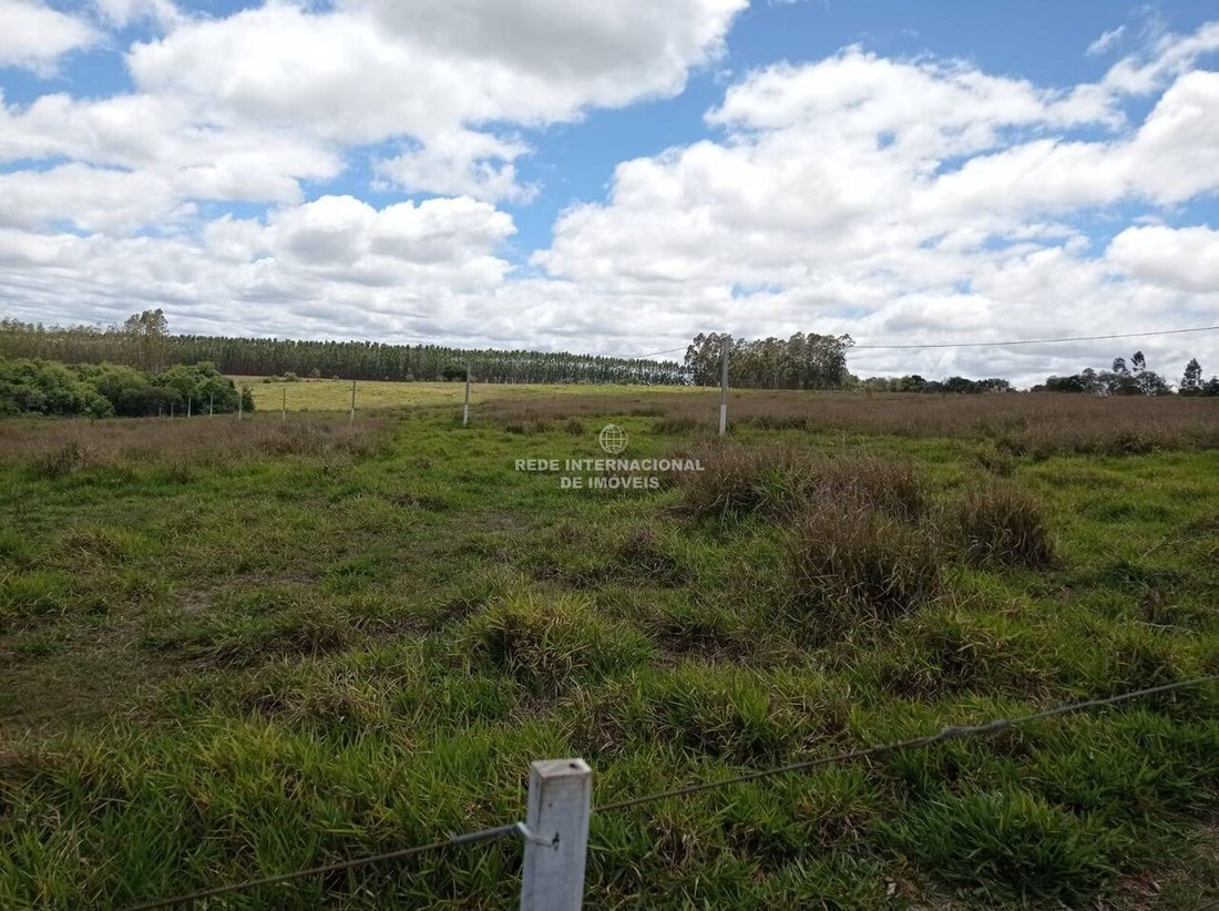 Farm Ranch in General Maynard, State of Sergipe, Brazil 1 - 16186814