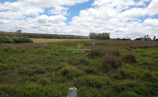 Farm Ranch in General Maynard, State of Sergipe, Brazil 1