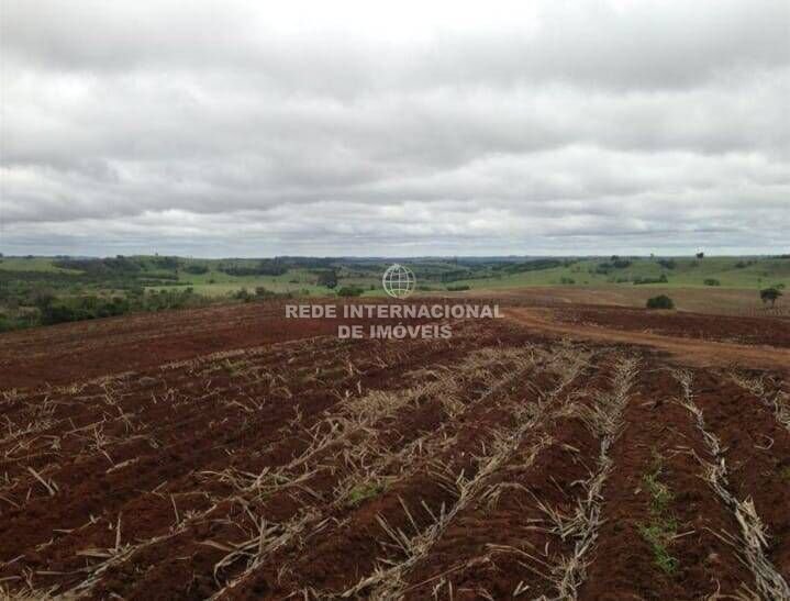 Farm Ranch in Itapetininga, State of São Paulo, Brazil 1 - 16186735