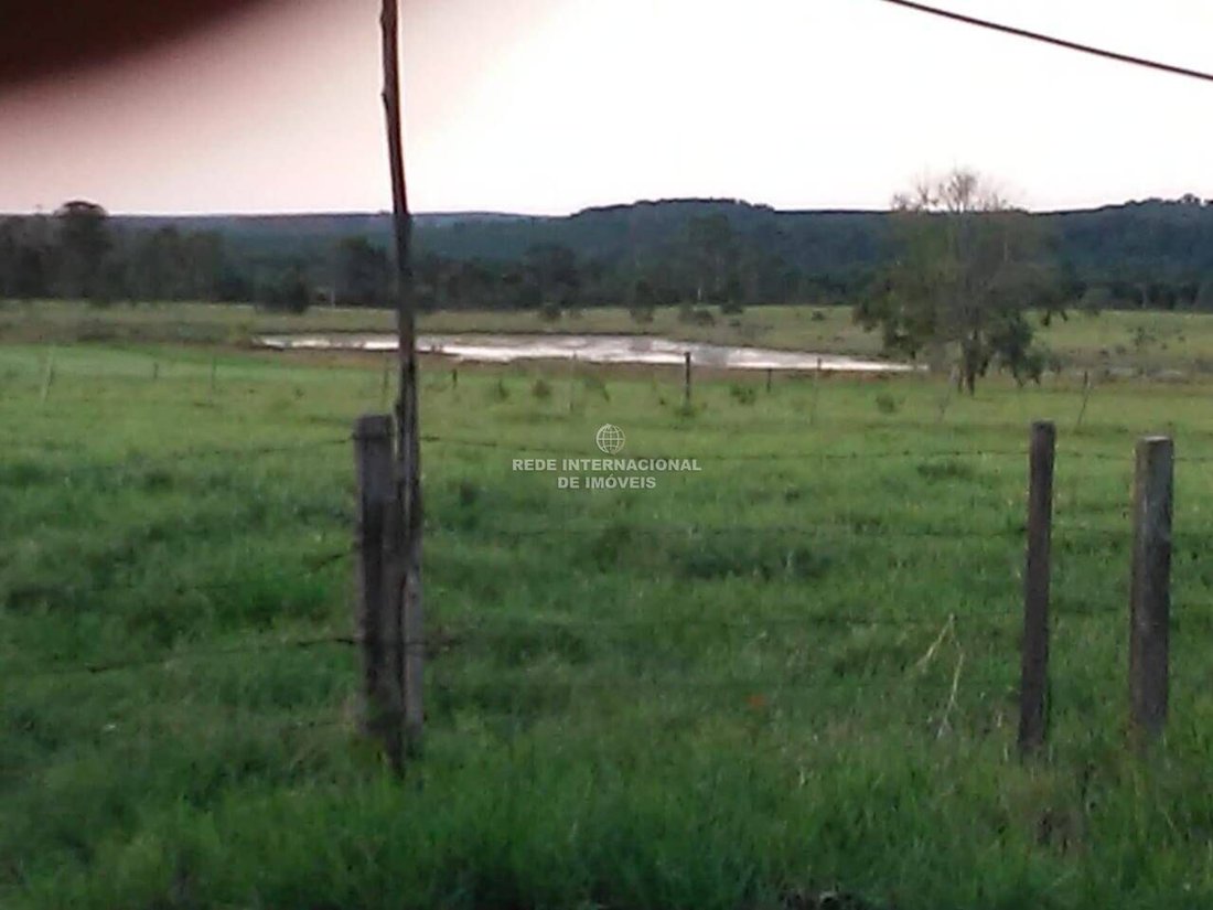 Farm Ranch in Guareí, State of São Paulo, Brazil 1 - 16186794