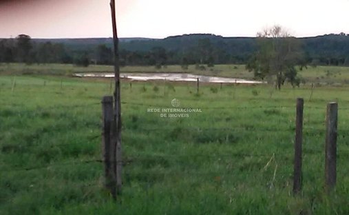 Farm Ranch in Guareí, State of São Paulo, Brazil 1